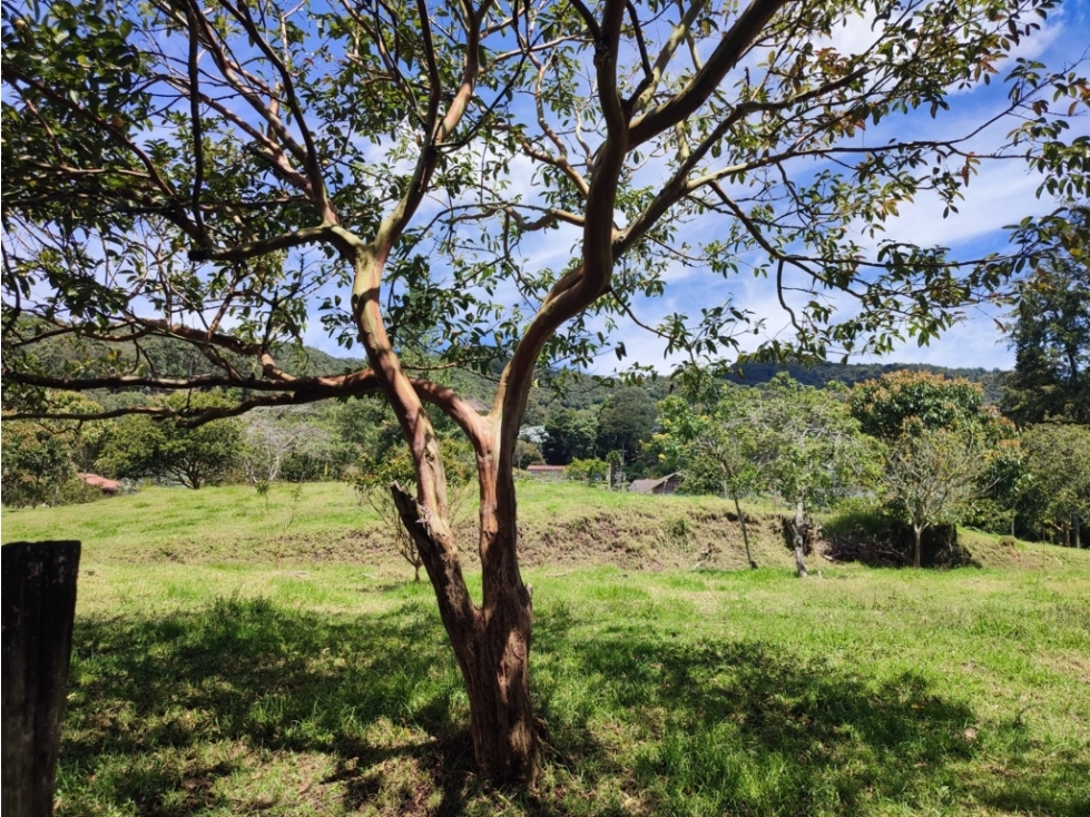 vendo lote la Ceja via Rionegro sector el Yarumo 6.125 m2 — foto 6