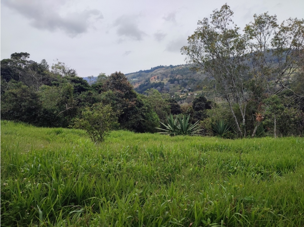 vendo lote, terreno en Guarne Antioquia 36.000 m2 — foto 6