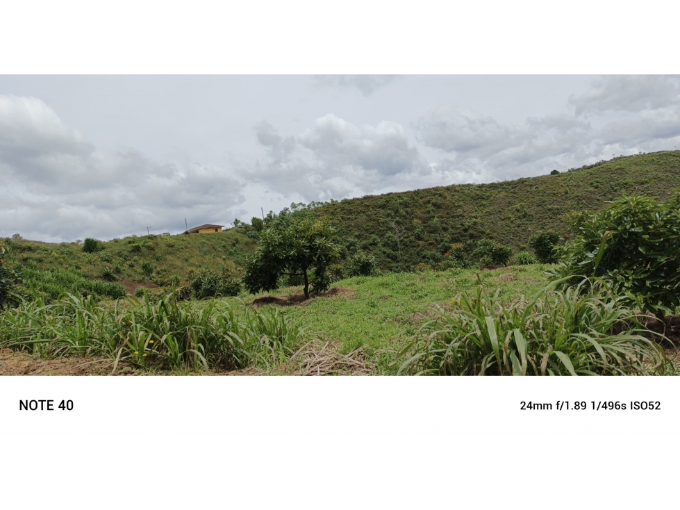 vendo finca productiva san vicente Ferrer Antioquia 93,4 hectareas — foto 5