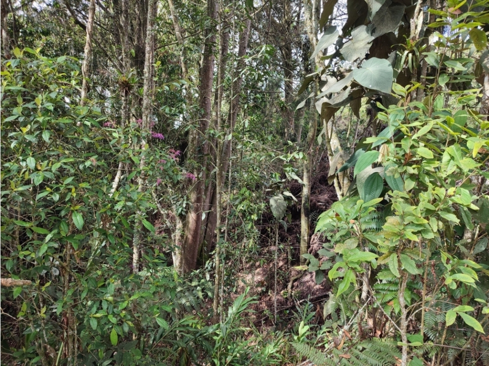 vendo casa finca Medellín, santa Elena 7.536 m2 — foto 5