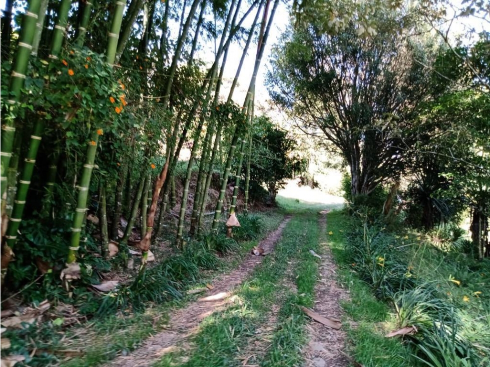 vendo finca Rionegro Antioquia, cerca a la zona Urbana — foto 6