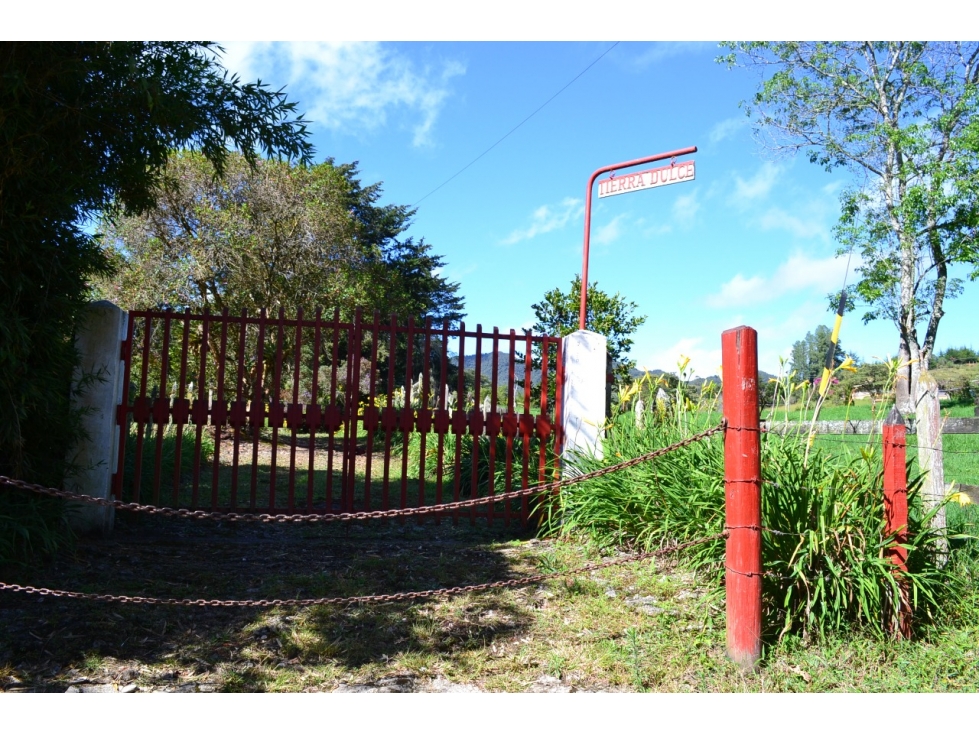 lote urbano en la Ceja Antioquia 10.000 m2 dearrollo recidencial — foto 6