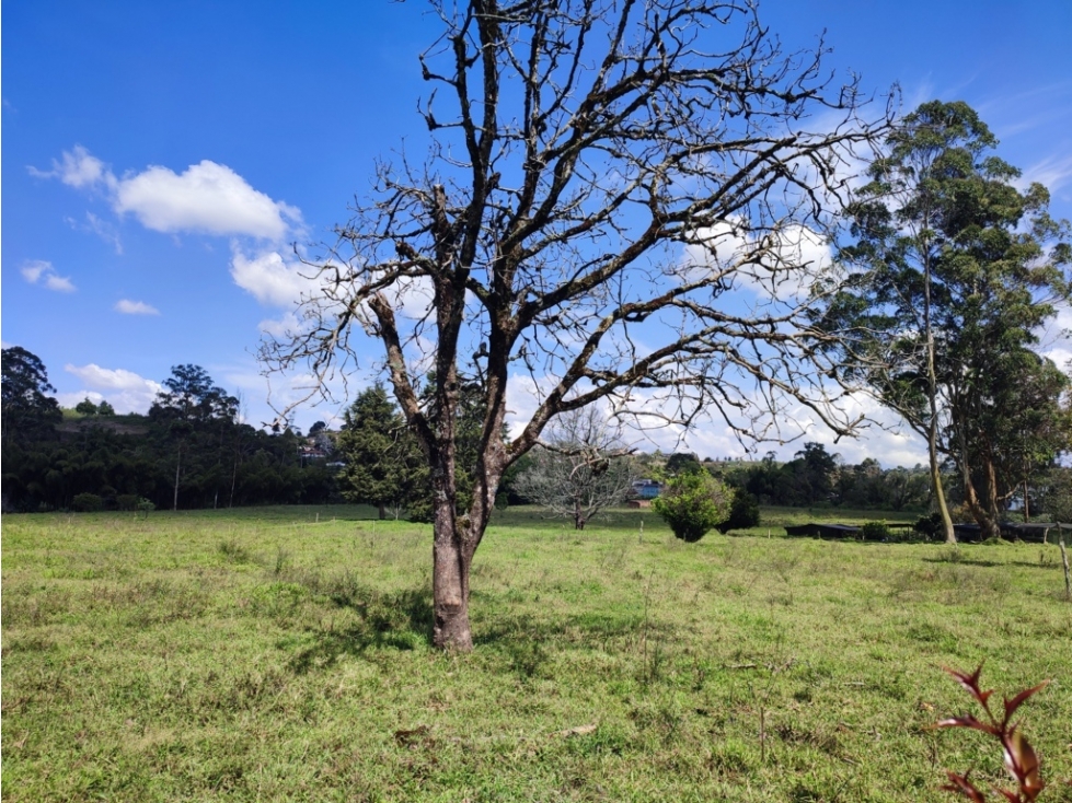 terreno industrial para venta Rionegro Antioquia 10 Hectáreas — foto 6