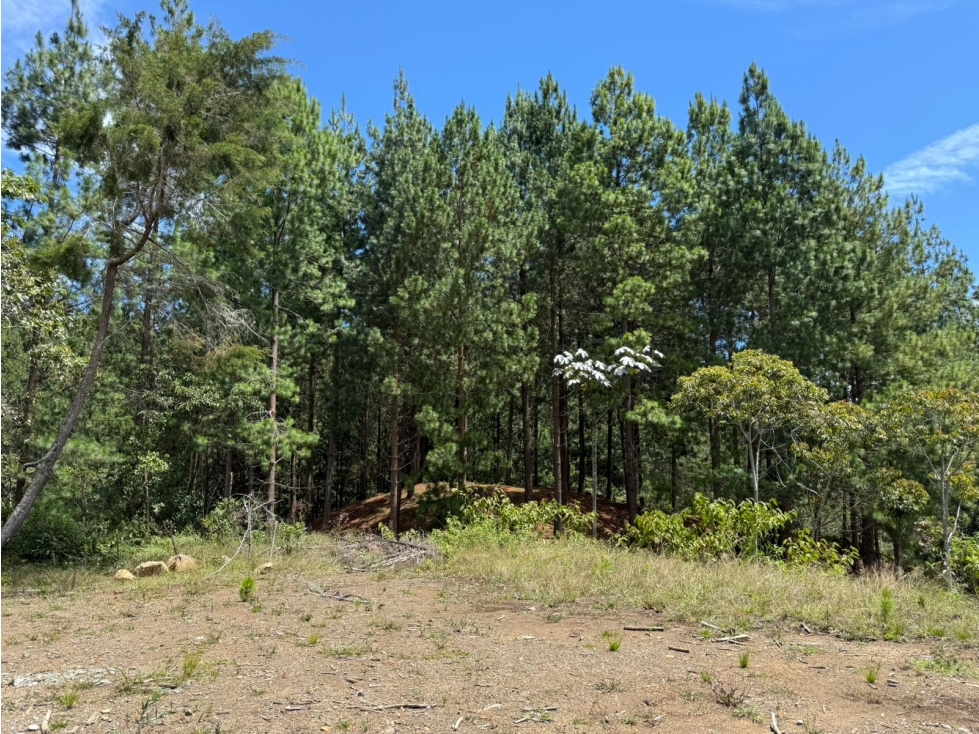 lote para venta el Retiro Antiquia unidad cerrada 2.847 m2 — foto 6