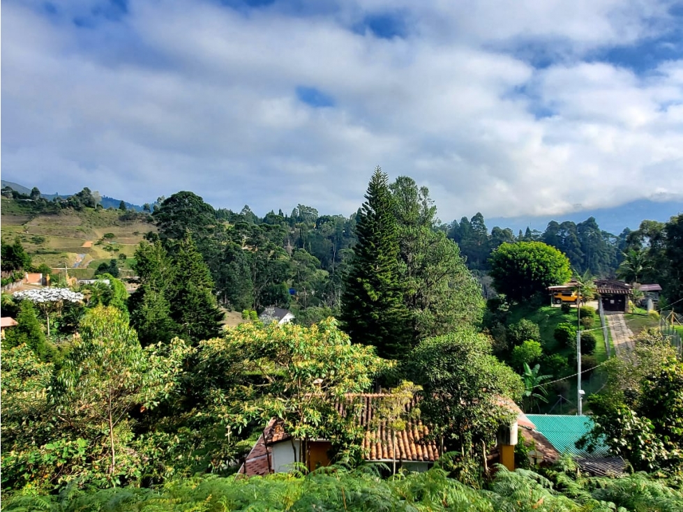 Lote en venta en Guarne Vereda La Hondita. 3.833 m2 LM — foto 6