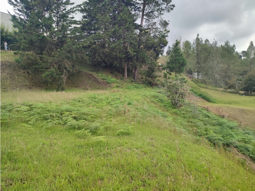 Lote Hermoso en Venta Sajonia, Rionegro