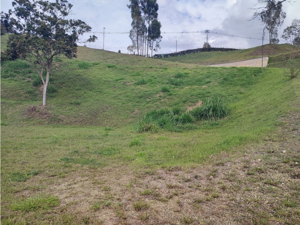 Lote en Venta en Rionegro | Exclusividad y Naturaleza — foto 6