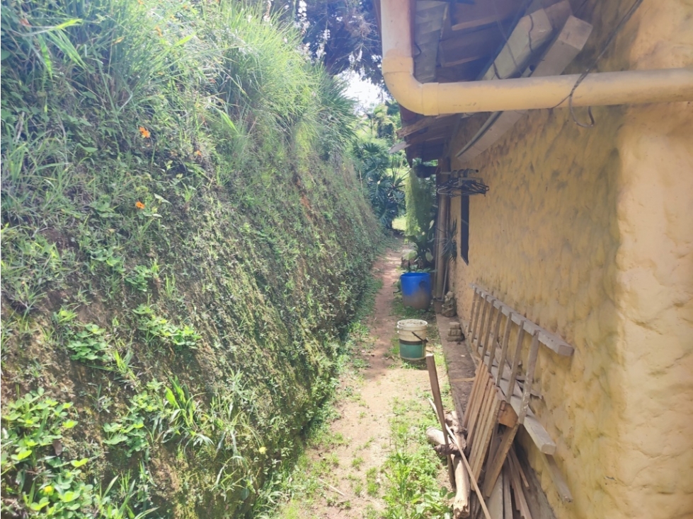 CASA FINCA CAMPESTRE EN VENTA EN RIONEGRO — foto 6