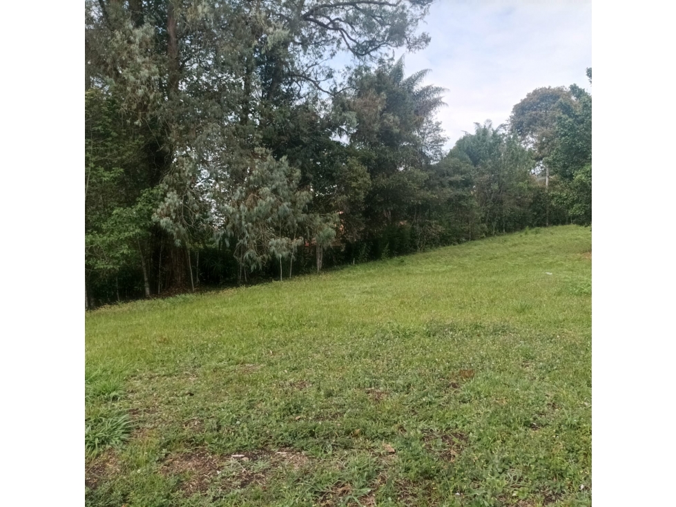 Exclusivos Lotes en Rionegro, Lotes Únicos en Vilachuaga en venta. — foto 6
