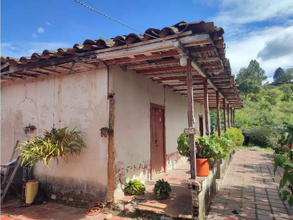 Finca Productiva en venta, Guarne 16.782 m² cerca a la autopista. — foto 5
