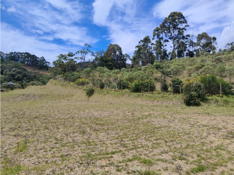 Lote Campestre en Venta La Ceja en Parcelación Exclusiva — foto 6