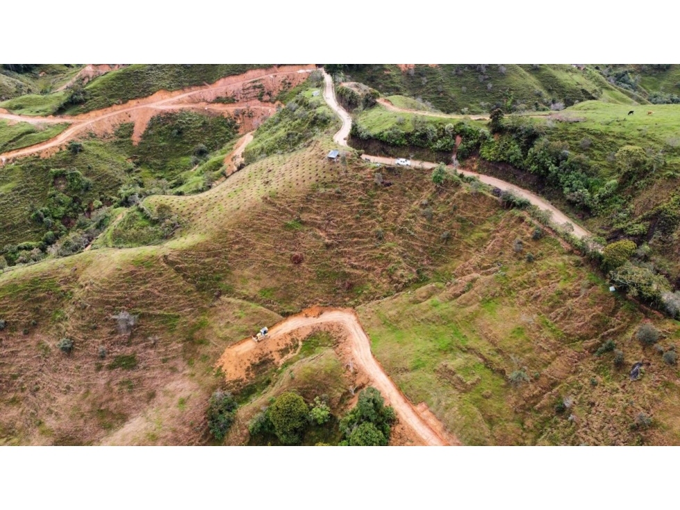 Finca productiva en venta en Granada Antioquia 27 hectáreas - 6