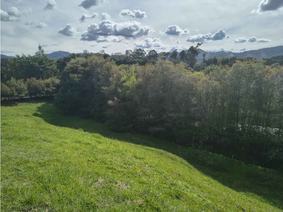 Espectacular lote campestre en venta en La Ceja, 4.738 m² - 6
