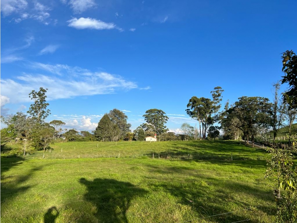 vendo lote en venta Rionegro llano grande 3.000 m2 98 JS - 5