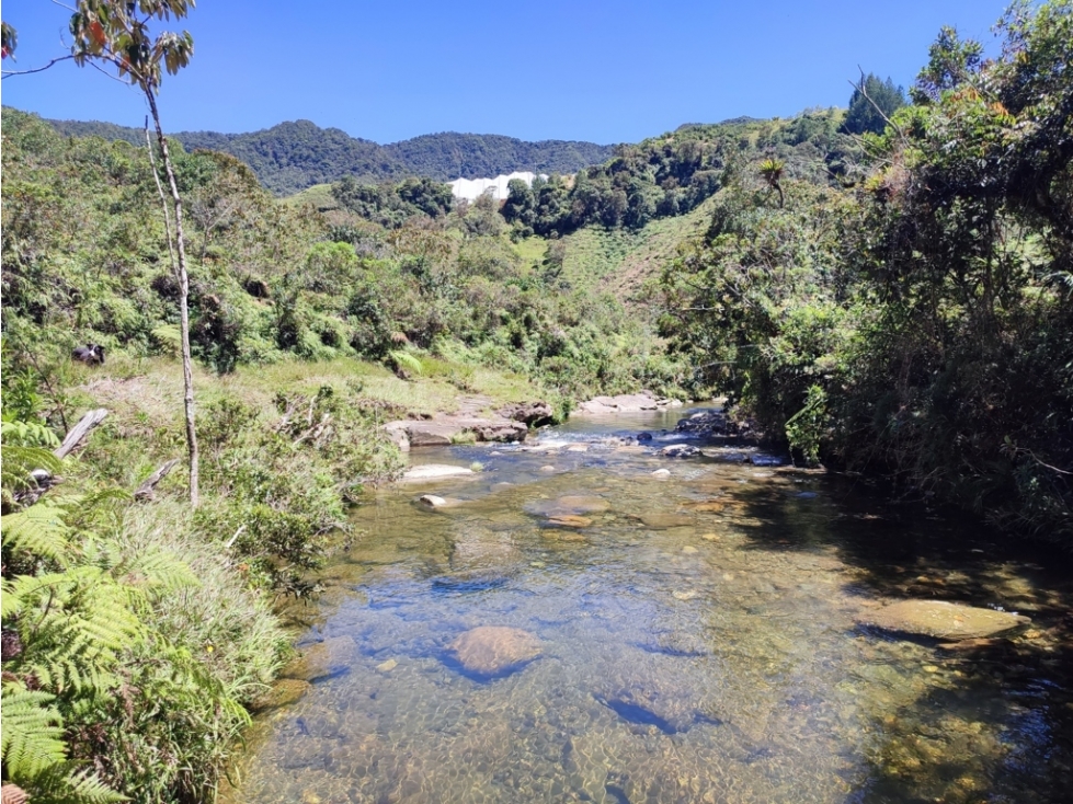 vendo finca en Sonsón Antioquia, aguas cristalinas, bosques, aire puro - 1