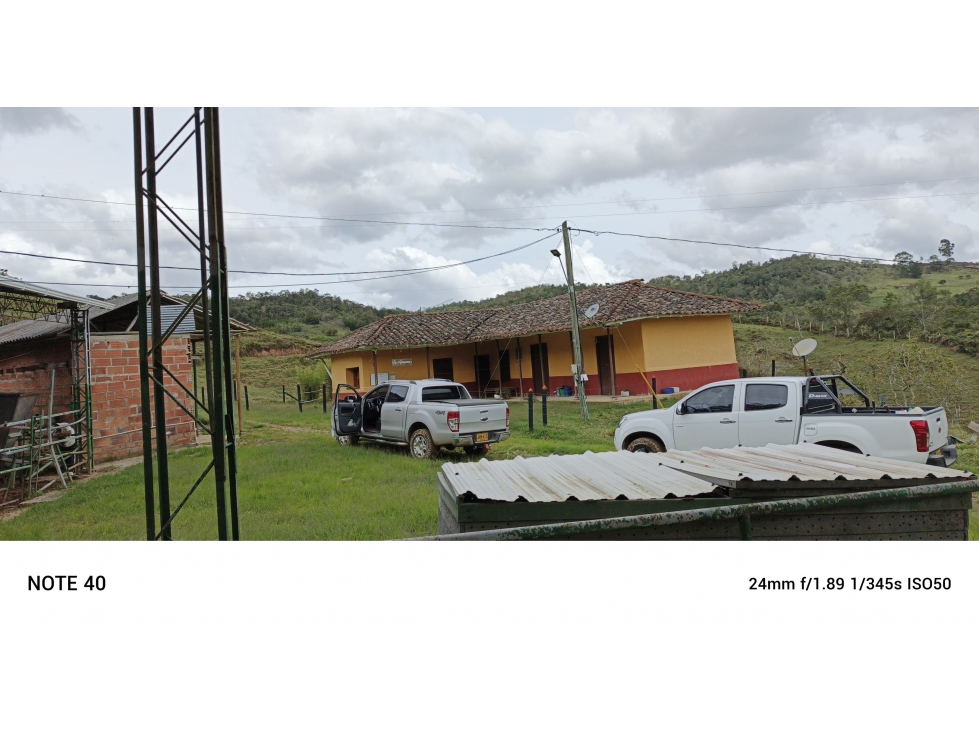 vendo finca productiva san vicente Ferrer Antioquia 93,4 hectareas — foto 6