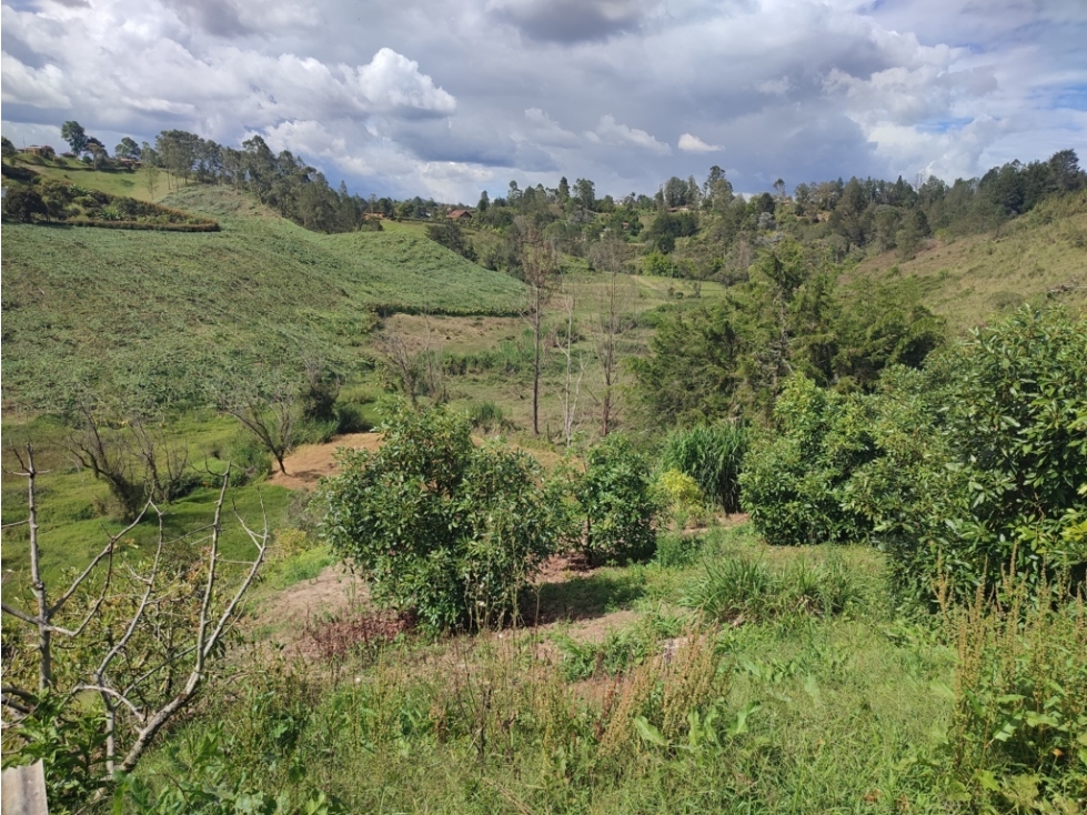 Finca Productiva en venta, Guarne 16.782 m² cerca a la autopista. — foto 6