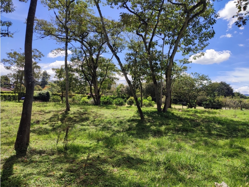 Lote Campestre de 10.959 m² en Venta | Parcelación El Yarumo | La Ceja — foto 2