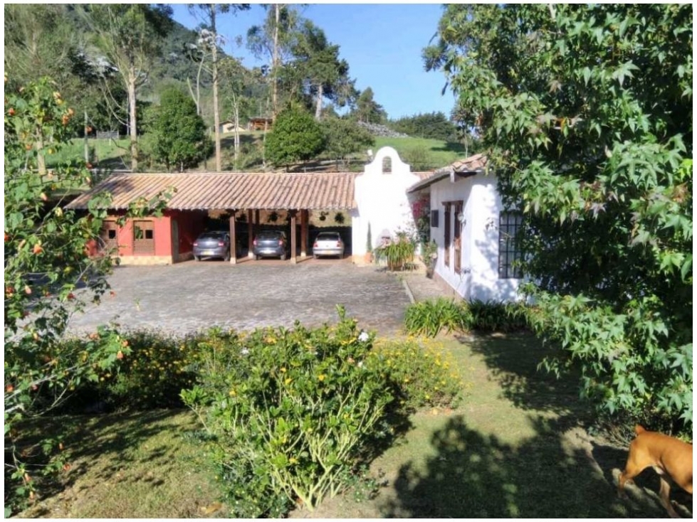 Hermosa casa campestre en la Ceja Antioquia 10.000 m2 — foto 6