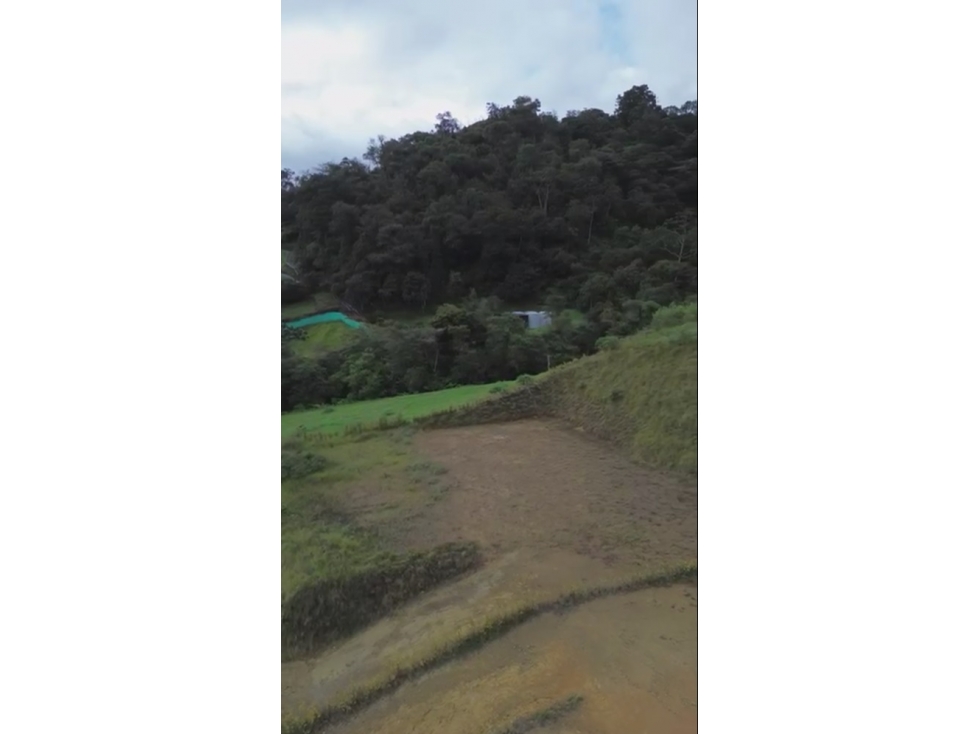 Lote en venta la Ceja Antioquia 1.547 m2 condominio cerrado. — foto 4