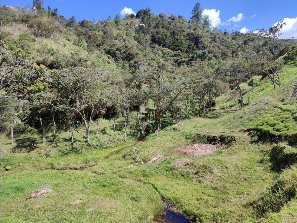 lote en venta el Retiro sector el chuscal 5,000 m2 — foto 5