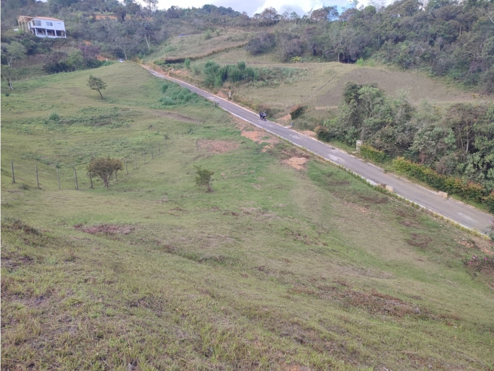 vendo lote Guarne sector la clarita parte alta 5.000 m2 — foto 5