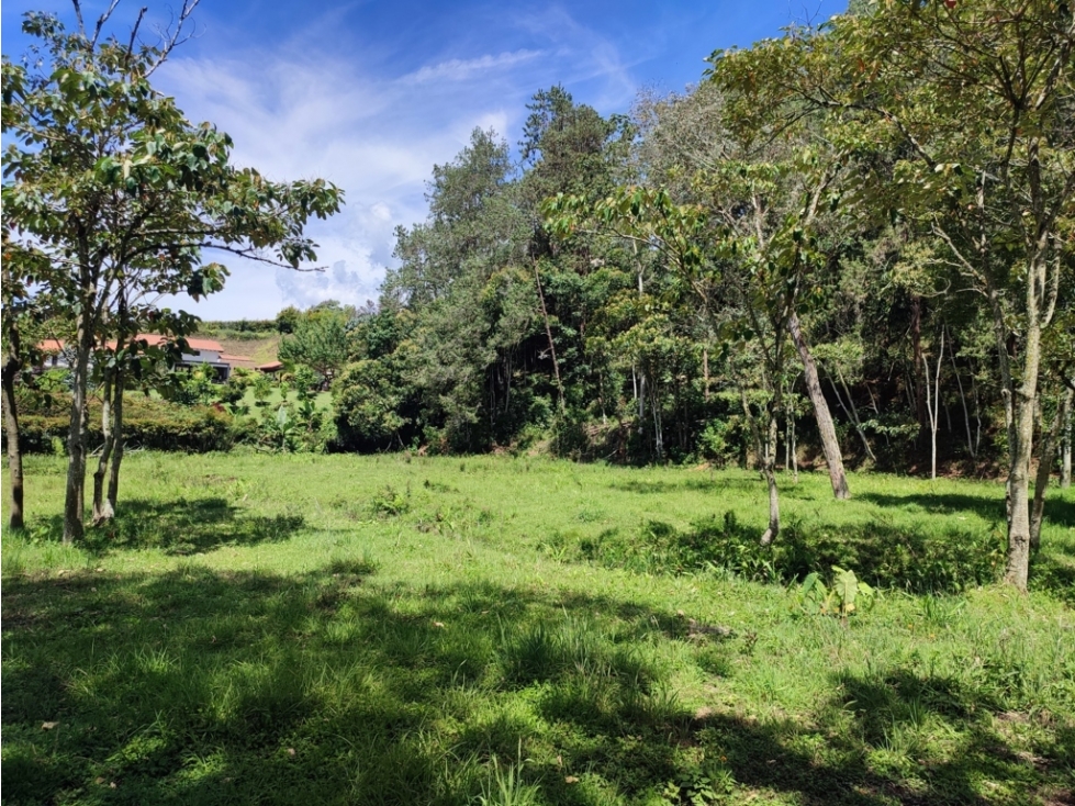 Lote Campestre de 10.959 m² en Venta | Parcelación El Yarumo | La Ceja