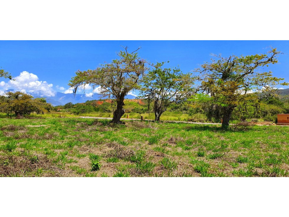 Vendo Parcela Barichara Vereda Lano Condominio La Pradera Lote 8: - 4