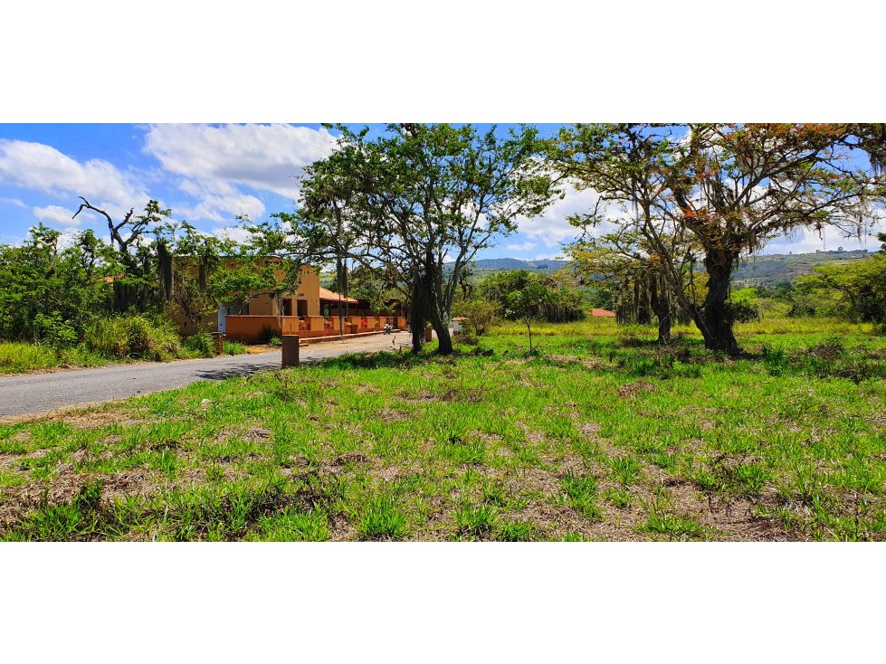 Vendo Parcela Barichara Vereda Lano Condominio La Pradera Lote 8: - 6