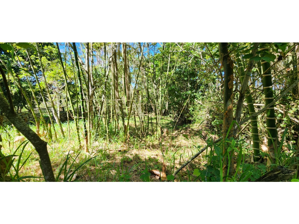 Vendo Parcela Barichara Vereda Centro La Cañada - 6
