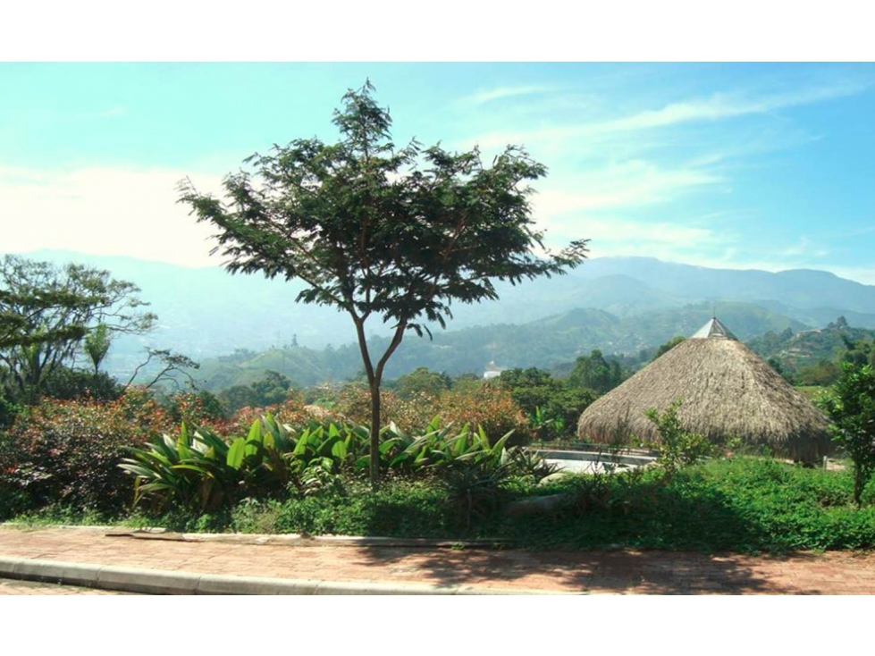 LOTE ECOLOGICO EN LA ESTRELLA - 1