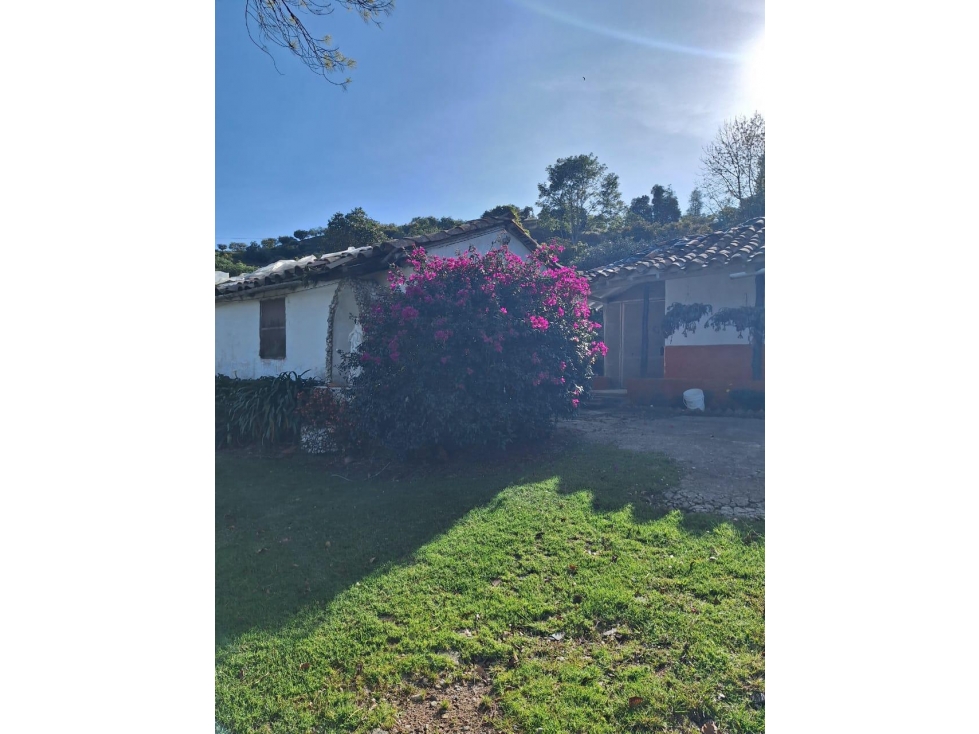 VENDO FINCA EN GUARNE