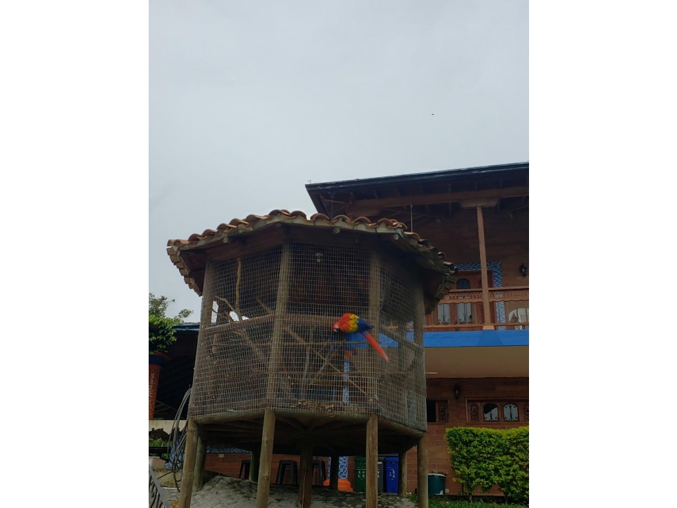 VENDO FINCA EN GIRARDOTA