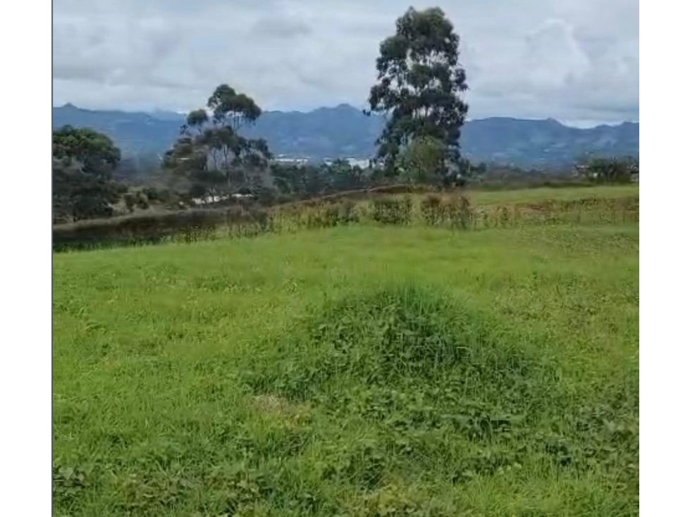 VENDO LOTE EN EL YARUMO EN LA CEJA