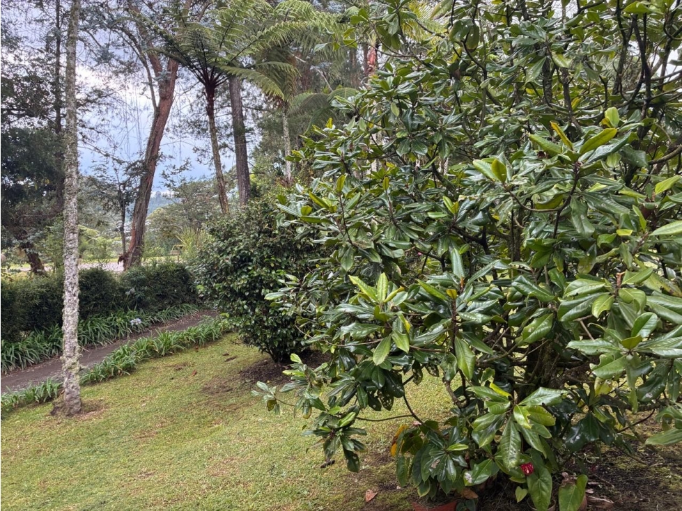 VENDO LOTE EN LLANOGRANDE