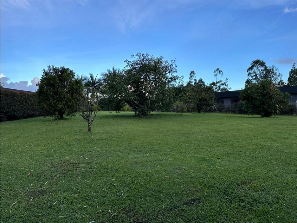 VENDO LOTE EN LLANO GRANDE, EN PARCELACION