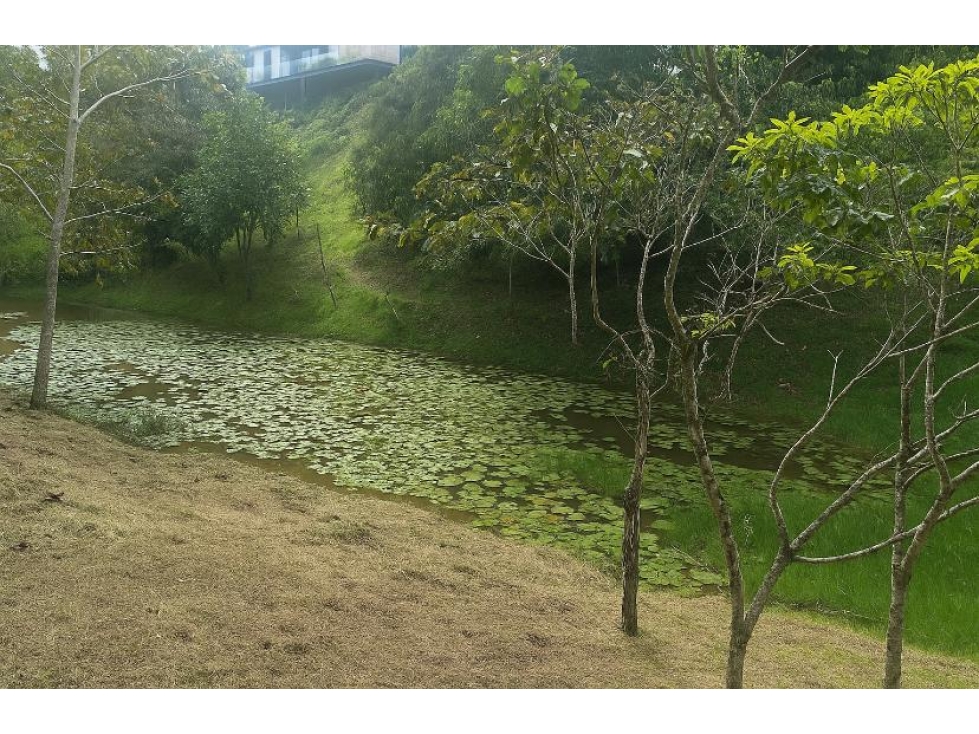 VENDO LOTE EN LA VÍA SAN ANTONIO LA CEJA — foto 2