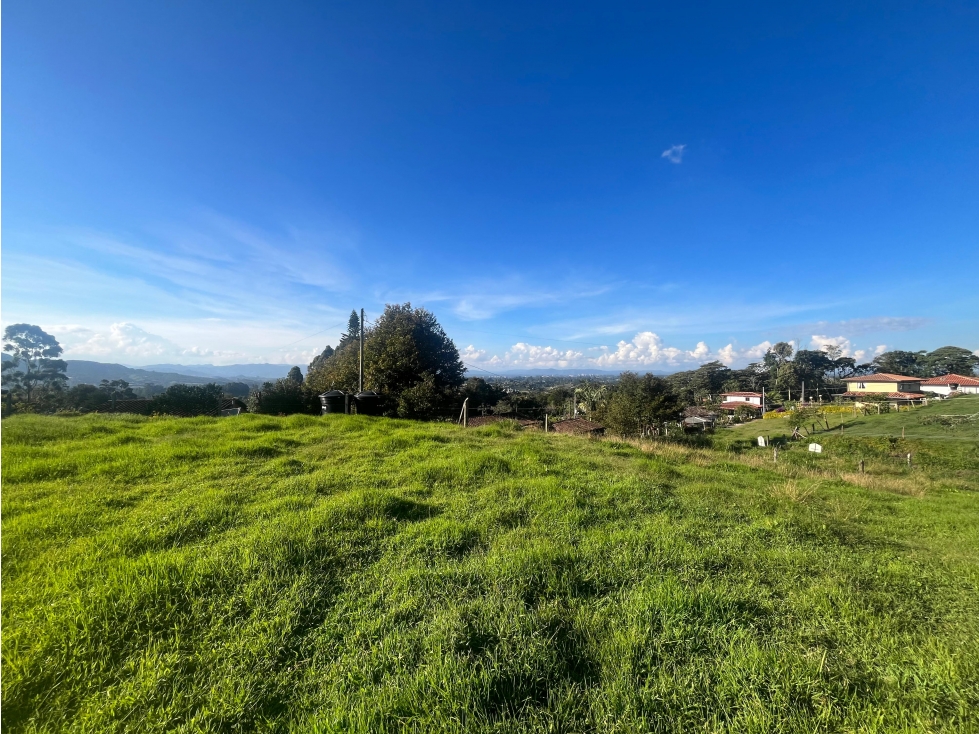 MAGNIFICO LOTE EN LA VIA AL CARMEN - 2