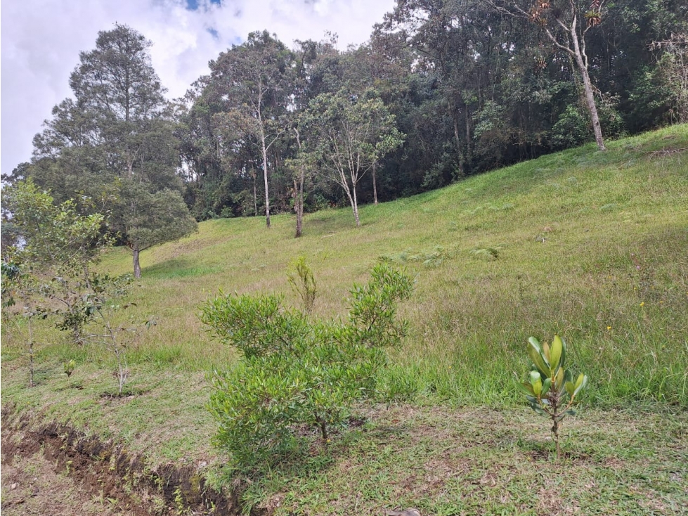 VENDO LOTE DE TERRERO EN MONTE SERENO — foto 3