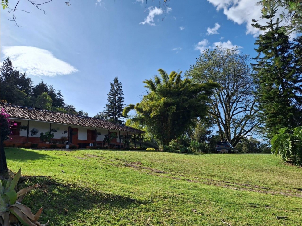 VENDO FINCA EN GUARNE — foto 2