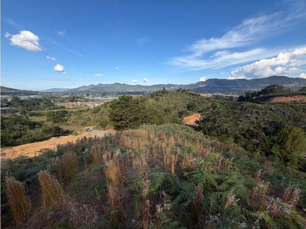 VENDO LOTE URBANO EN PARCELACION EL LA CEJA — foto 2