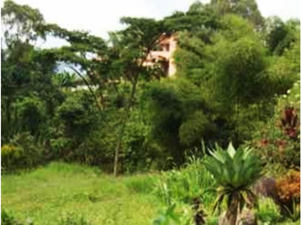 LOTE ECOLOGICO EN LA ESTRELLA - 4