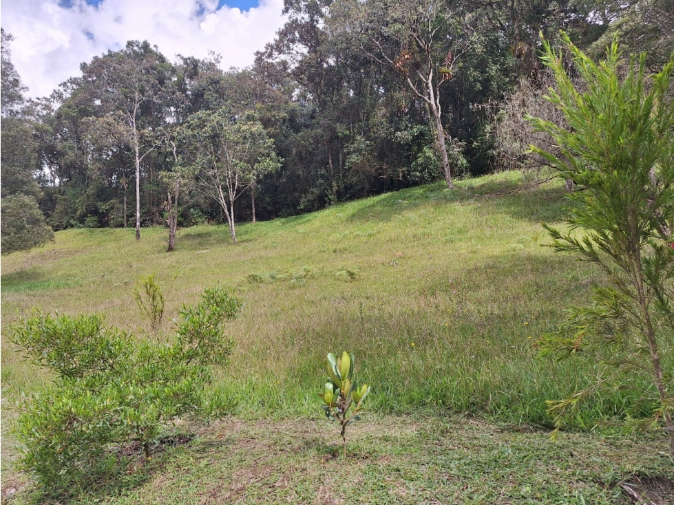 VENDO LOTE DE TERRERO EN MONTE SERENO — foto 4