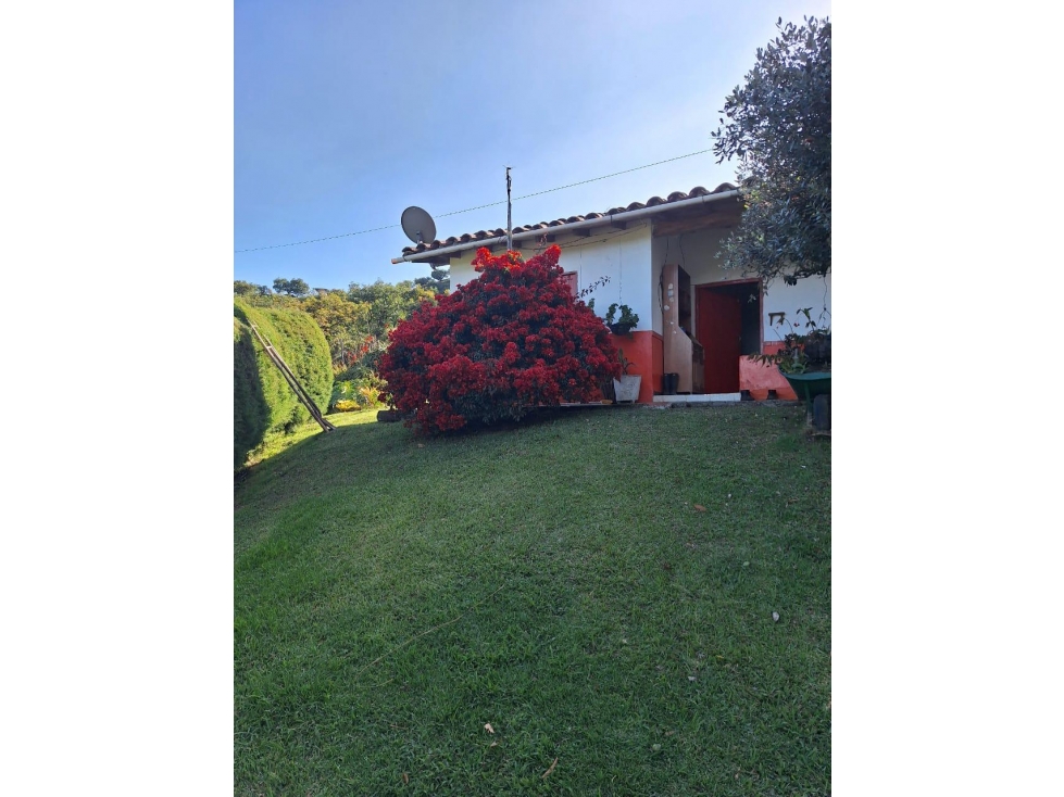 VENDO FINCA EN GUARNE — foto 3