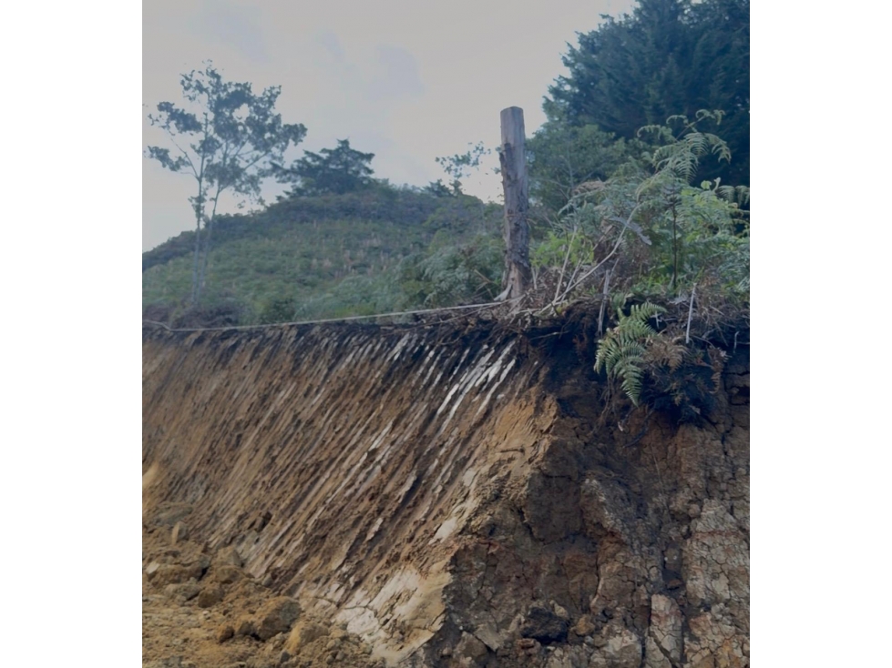 VENDO LOTE EN PARCELACION MIRADOR DE LA CEJA — foto 2
