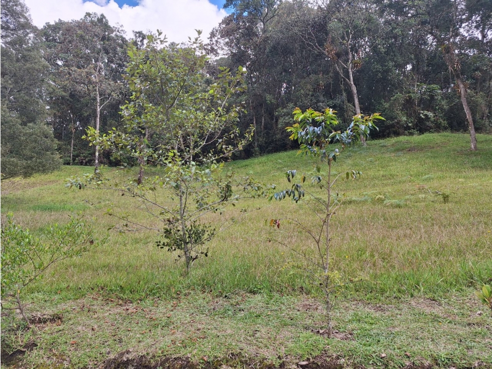 VENDO LOTE DE TERRERO EN MONTE SERENO — foto 5