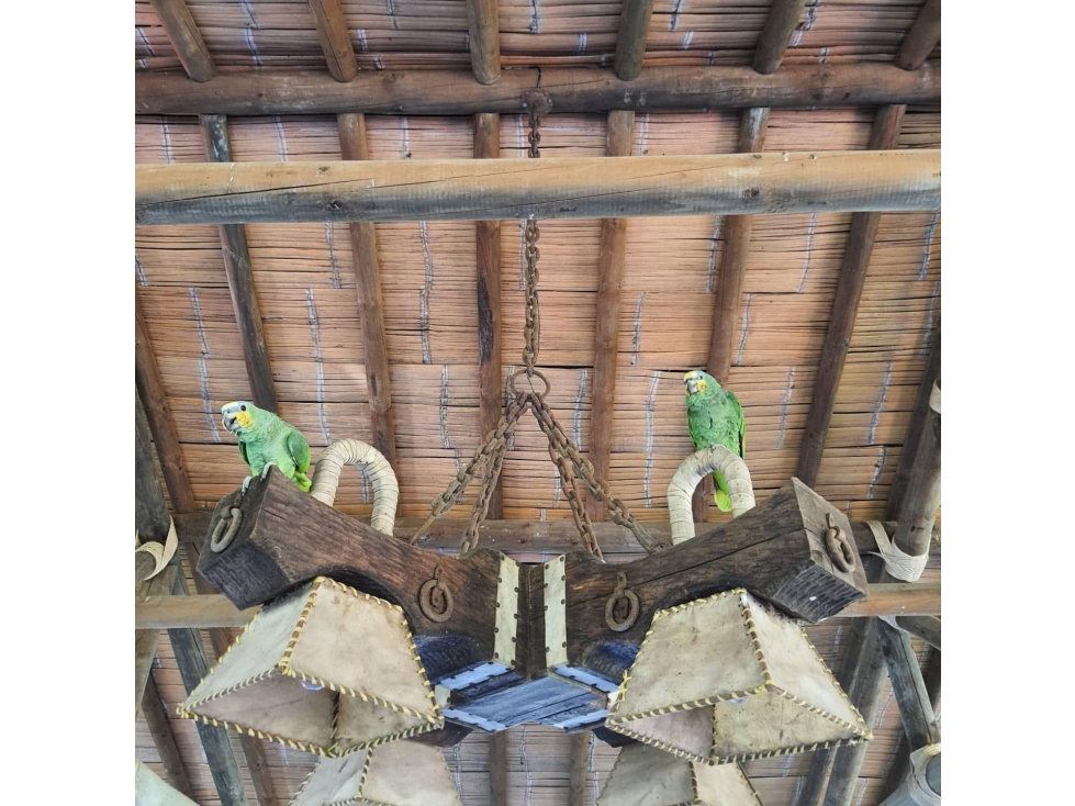 VENDO FINCA EN GIRARDOTA — foto 4