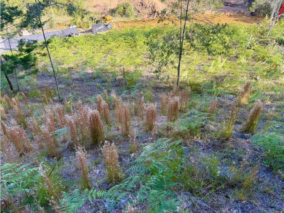 VENDO LOTE EN PARCELACION MIRADOR DE LA CEJA — foto 5