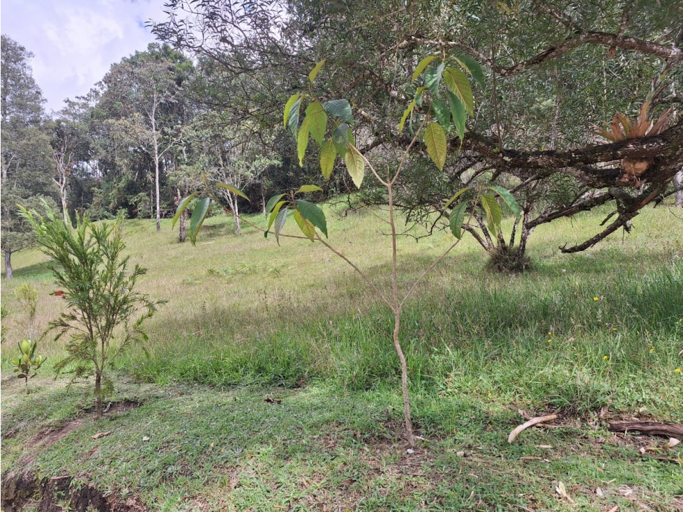 VENDO LOTE DE TERRERO EN MONTE SERENO — foto 6