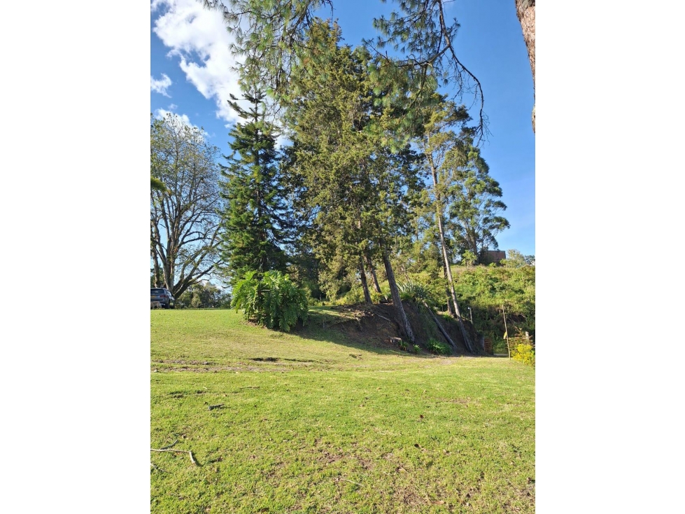 VENDO FINCA EN GUARNE — foto 5